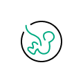 Obstetrics
  and Gynecology 